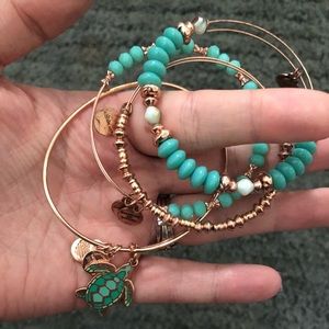 Alex and ani sea turtle set of 4